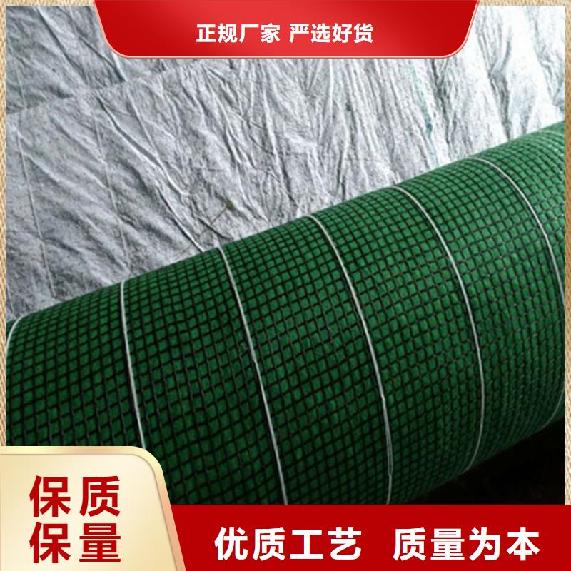 椰丝毯防渗膜品质保证实力见证
