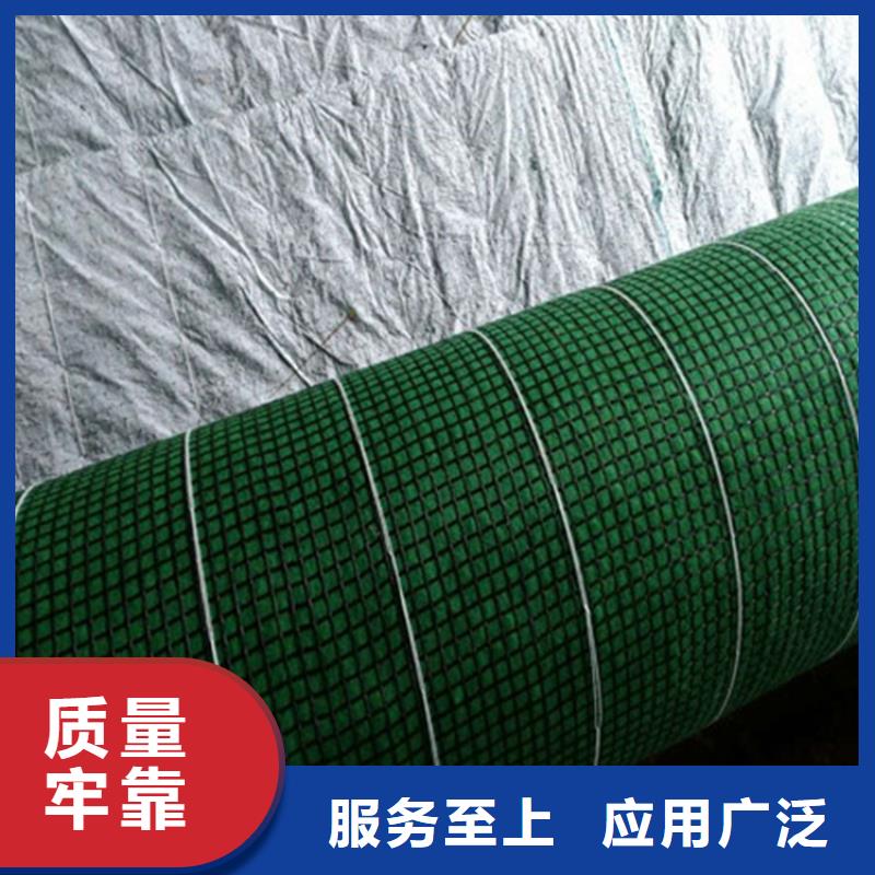 椰丝毯HDPE土工膜支持加工定制