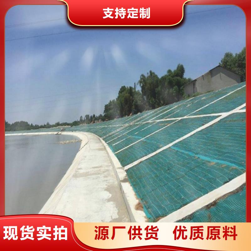 椰丝毯_土工布品质商家