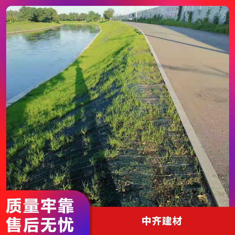 椰丝毯-土工膜厂诚信经营