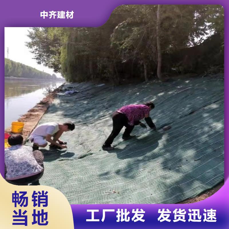 椰丝毯HDPE土工膜源头厂家量大价优