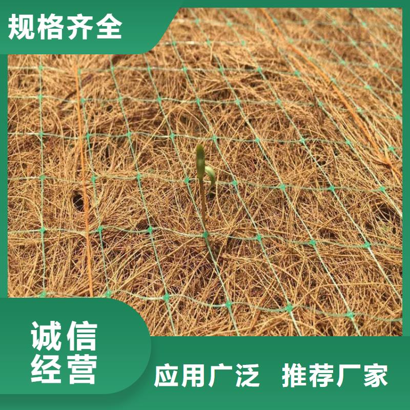 椰丝毯土工膜免费安装
