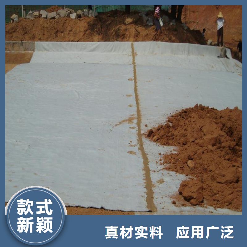 膨润土防水毯涤纶格栅今年新款