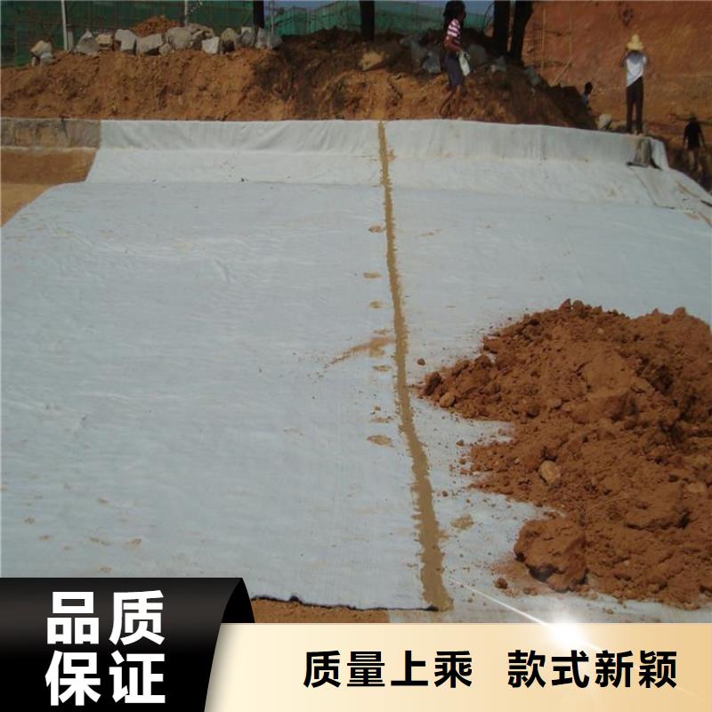 膨润土防水毯软式透水管供应商