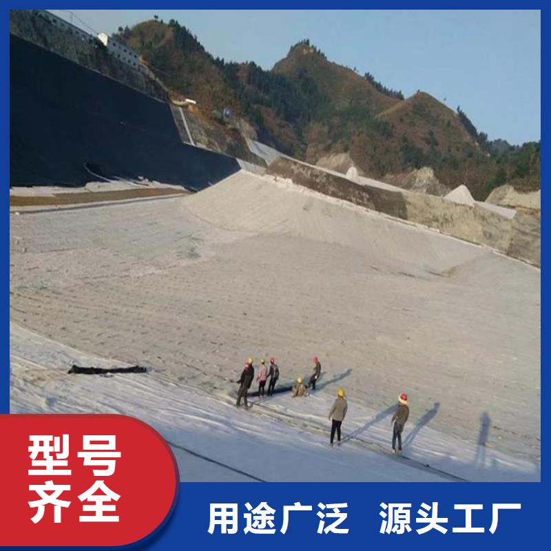 【膨润土防水毯】土工膜专注生产N年