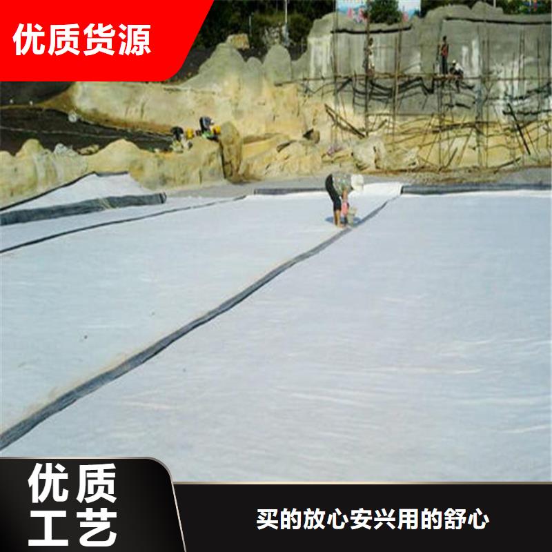 膨润土防水毯,土工膜现货充足