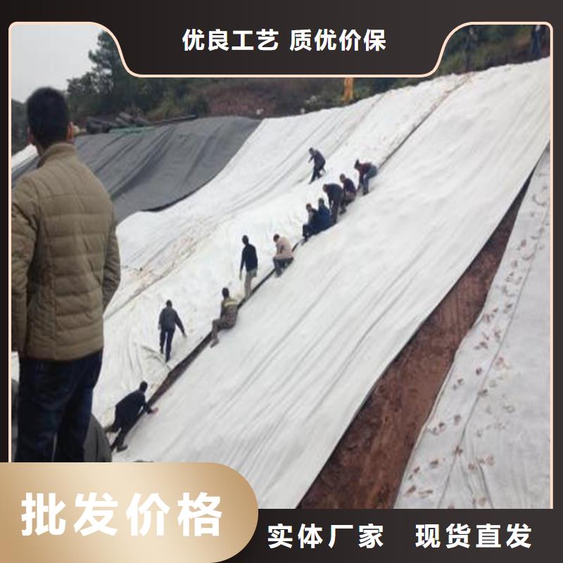 膨润土防水毯土工膜好品质经得住考验