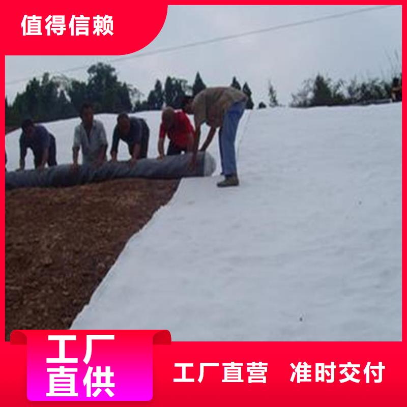 膨润土防水毯,土工膜现货充足