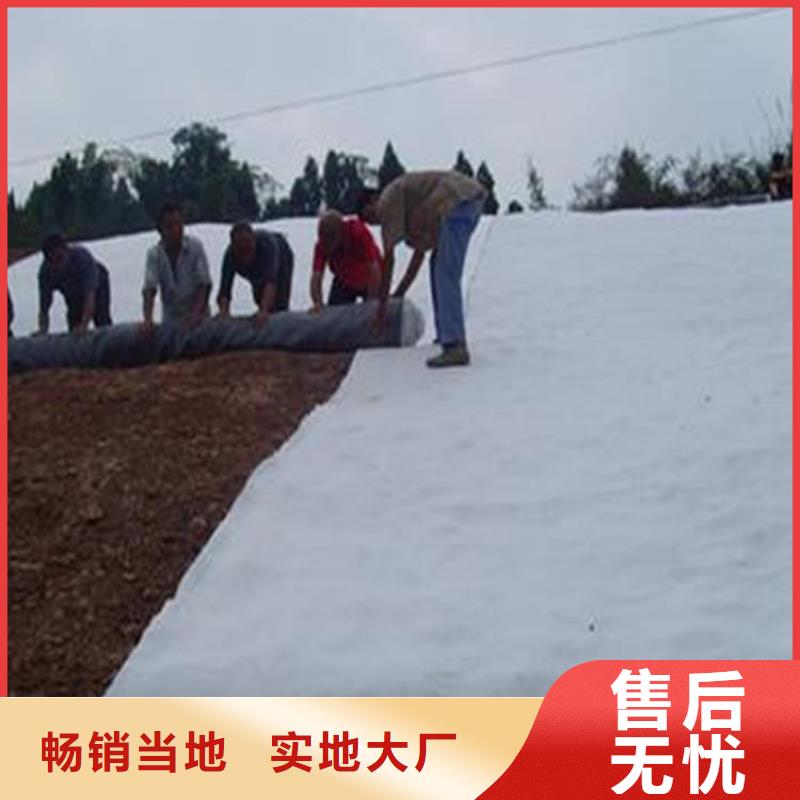 膨润土防水毯聚酯玻纤布质量检测