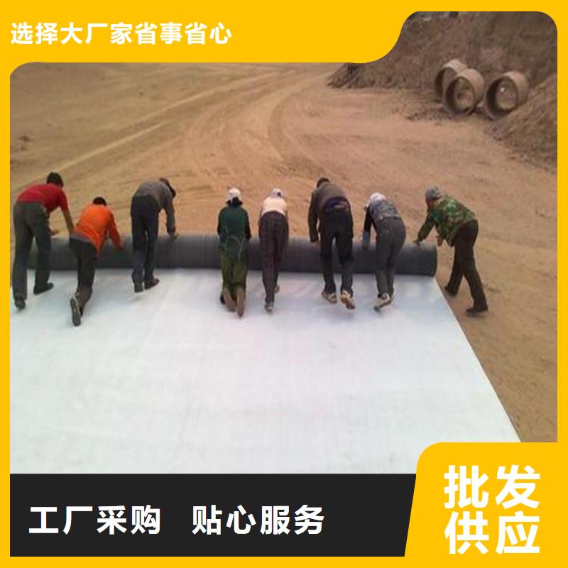 膨润土防水毯【HDPE土工膜】真正的源头厂家