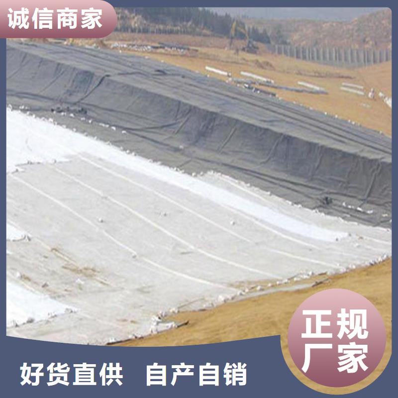 【膨润土防水毯】土工膜专注生产N年