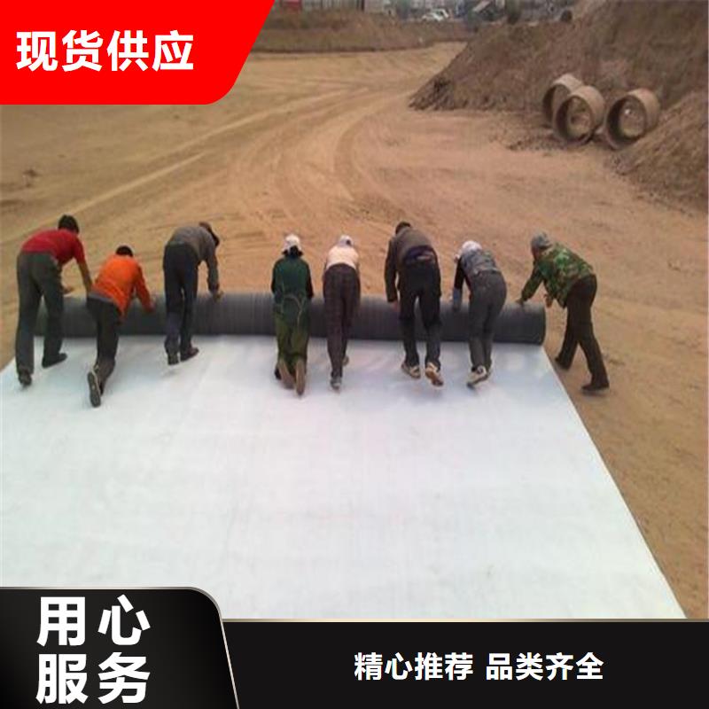 【膨润土防水毯通风降噪丝网多家仓库发货】