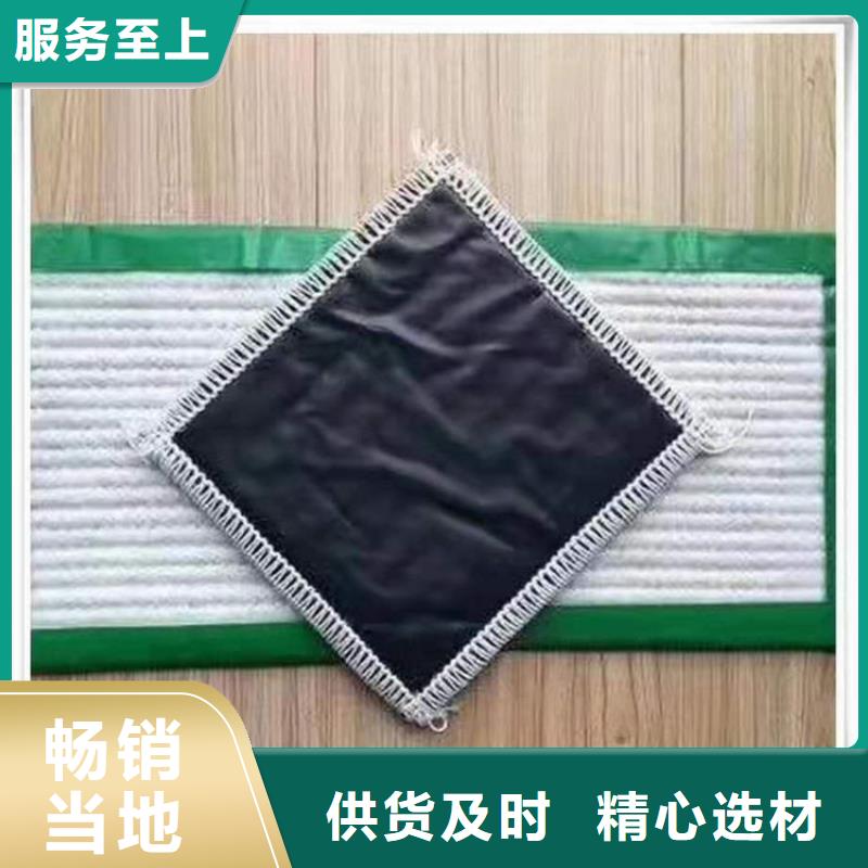 膨润土防水毯钢塑土工格栅送货上门
