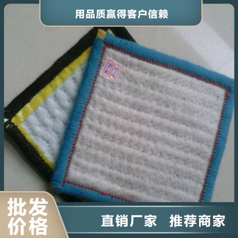 【膨润土防水毯通风降噪丝网多家仓库发货】