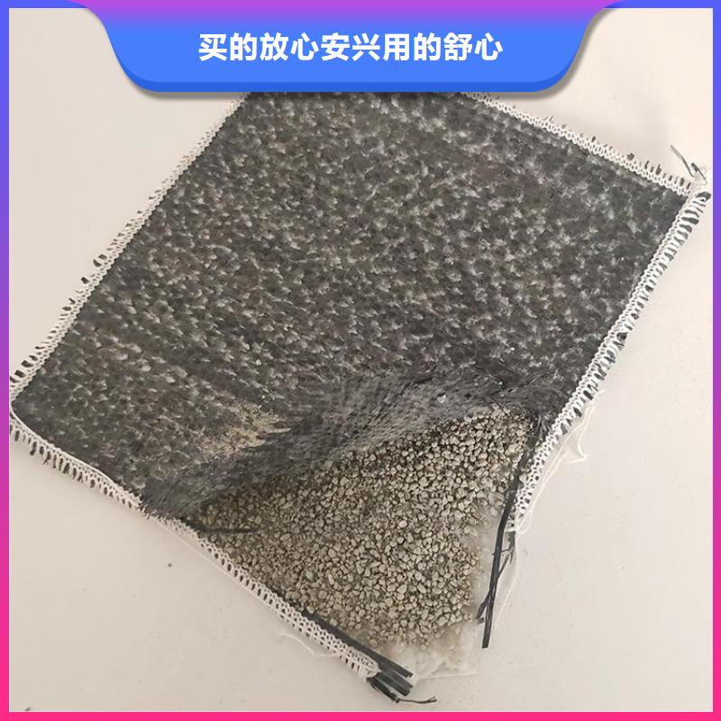 膨润土防水毯【防水板】产地源头好货