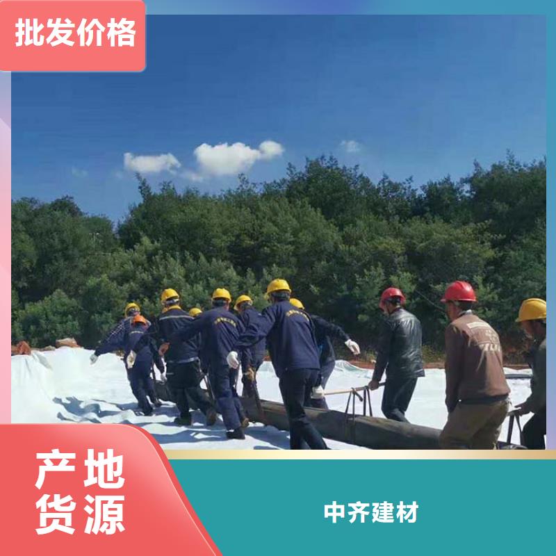 【膨润土防水毯三维植被网专注生产制造多年】