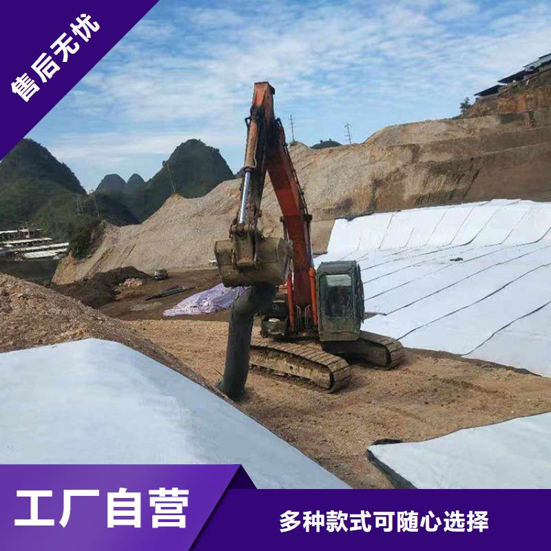 【膨润土防水毯】土工膜专注生产N年