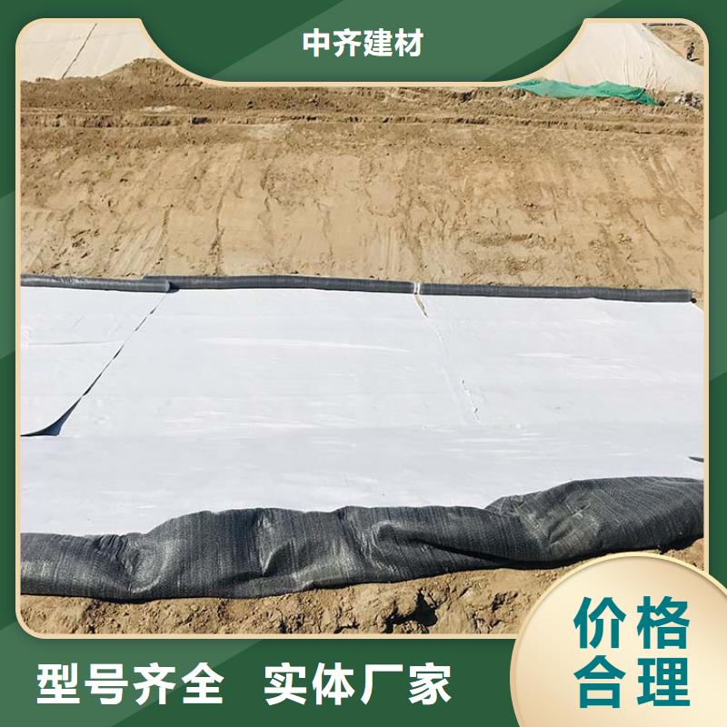 【膨润土防水毯通风降噪丝网多家仓库发货】