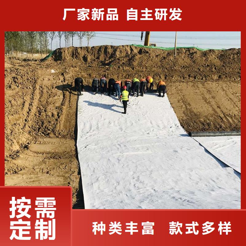 膨润土防水毯聚酯玻纤布质量检测