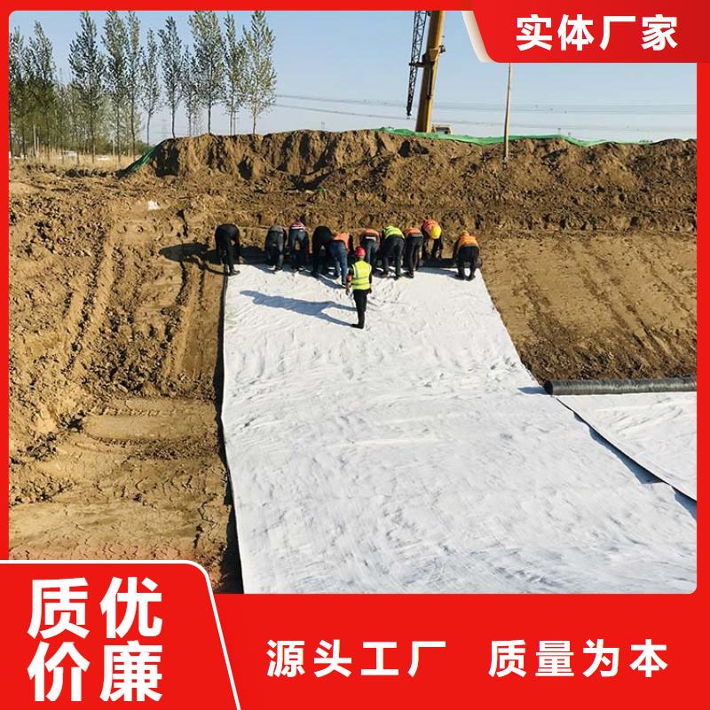 膨润土防水毯,土工膜现货充足
