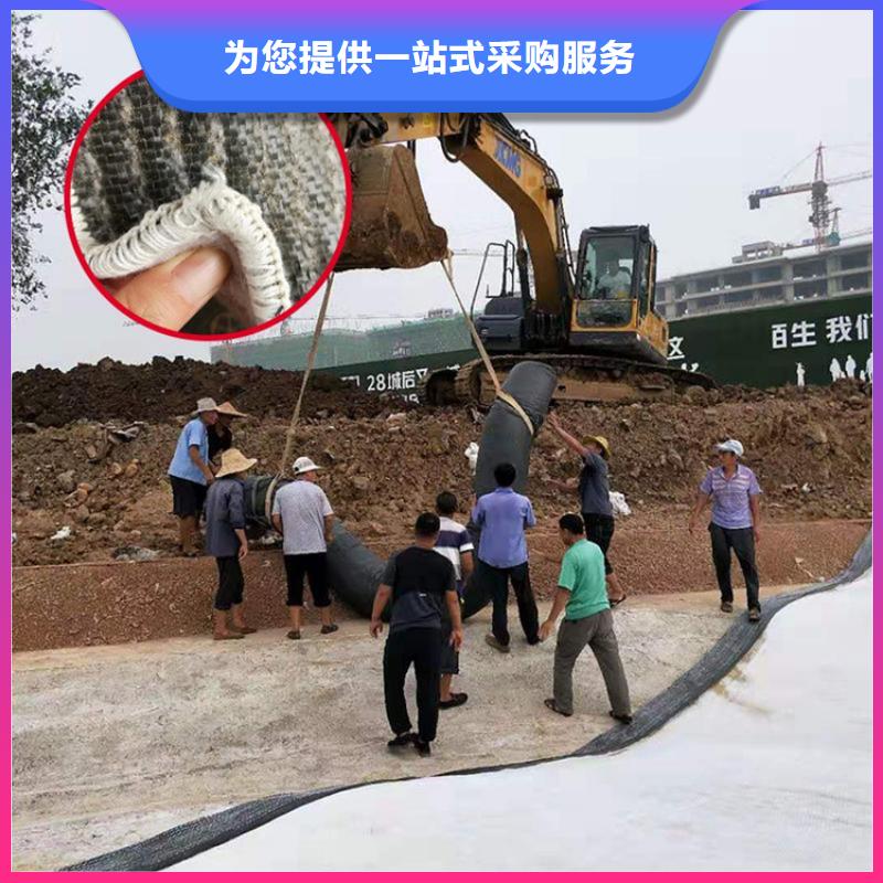 膨润土防水毯涤纶格栅今年新款