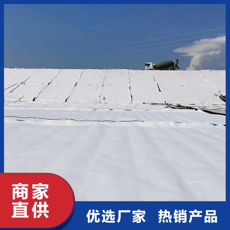 膨润土防水毯硬式透水管型号全价格低