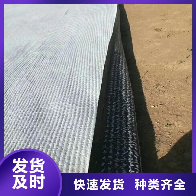 【膨润土防水毯】HDPE土工膜放心选购