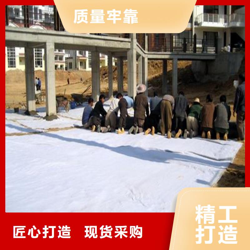 膨润土防水毯【生态带】联系厂家