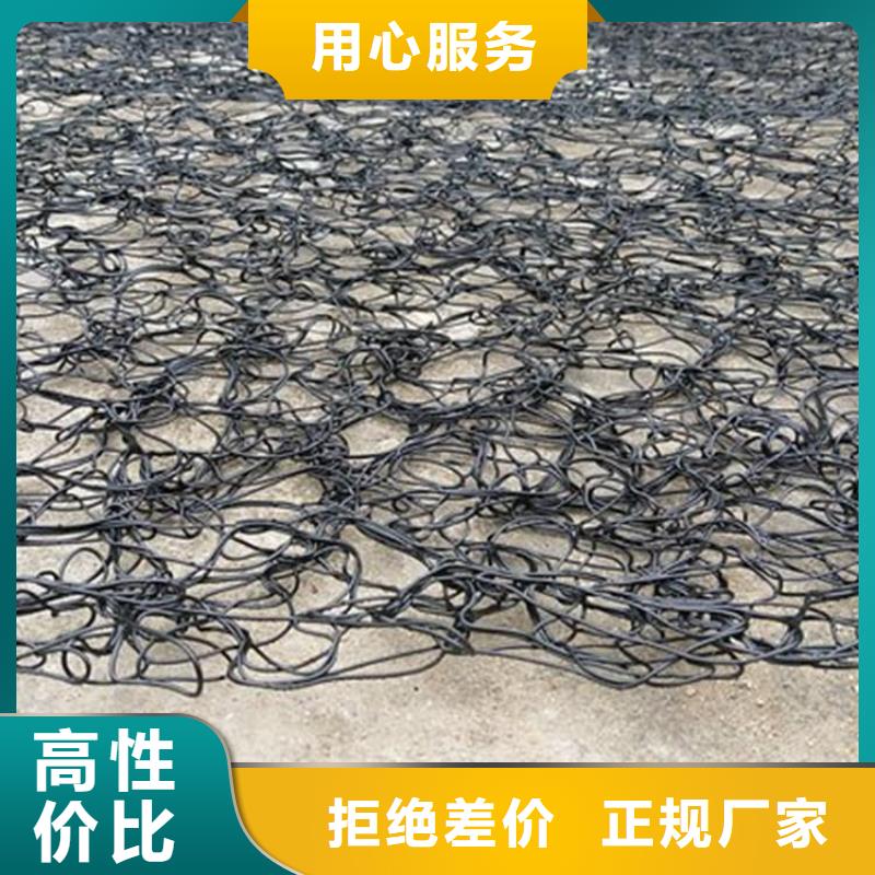 通风降噪丝网双向塑料土工格栅实体厂家大量现货