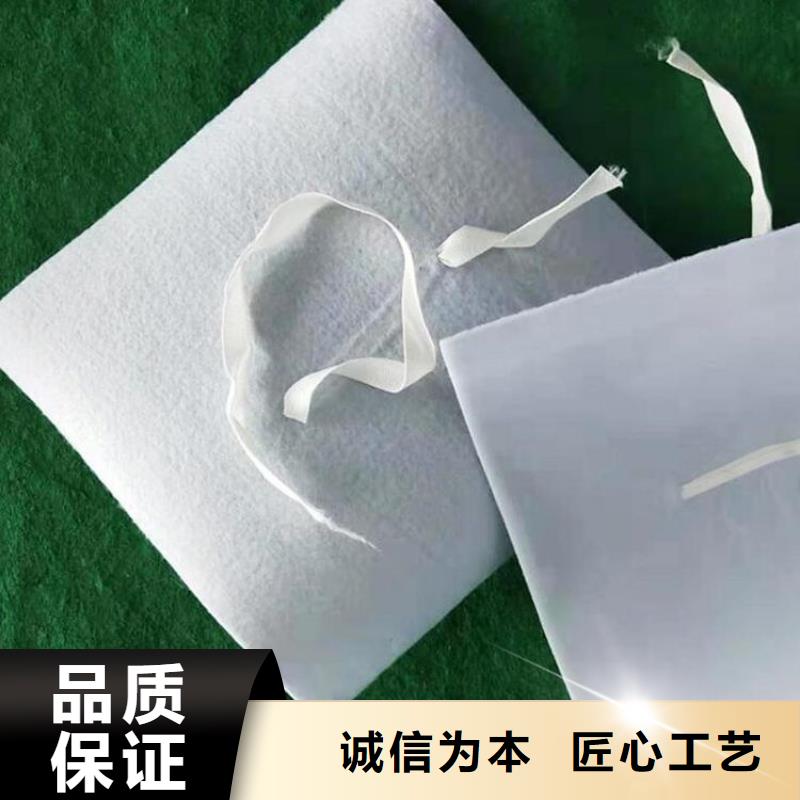 防水板无纺布正规厂家