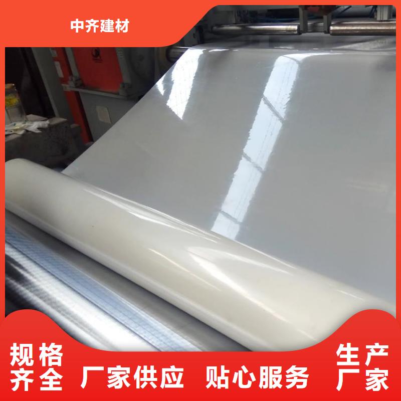 防水板无纺布正规厂家
