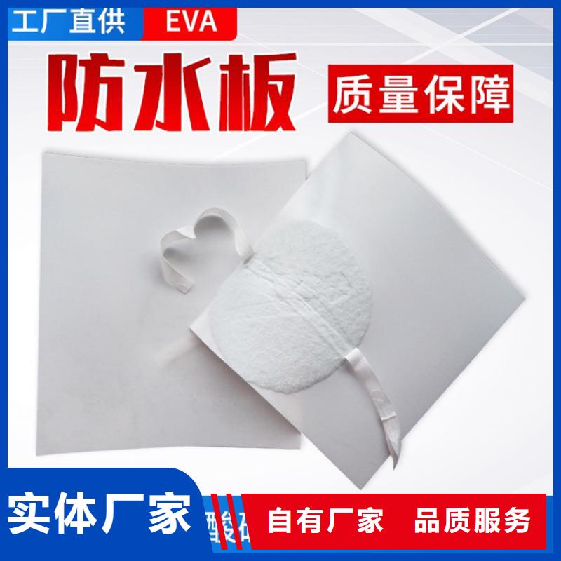 防水板_塑料土工格栅专业的生产厂家