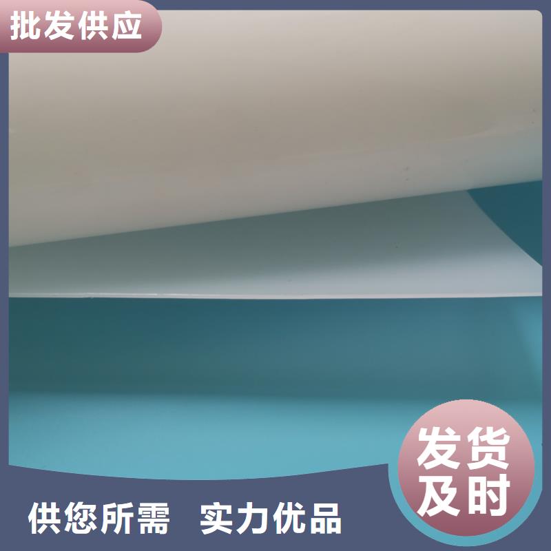 防水板_塑料土工格栅专业的生产厂家