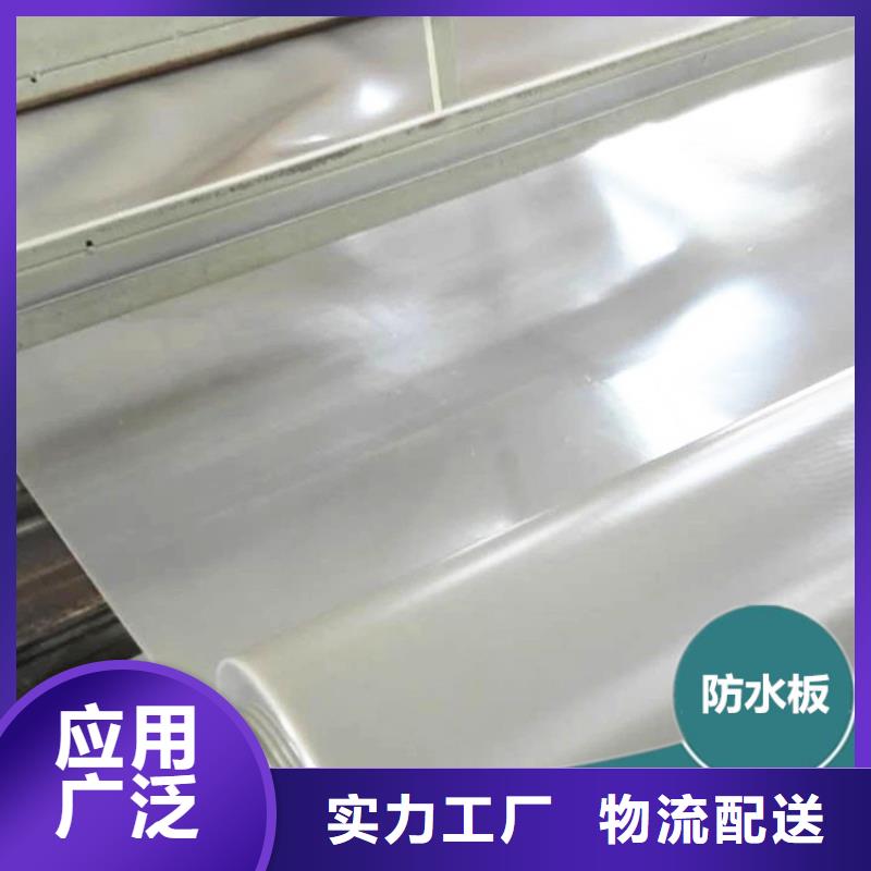 防水板_钢塑土工格栅库存充足