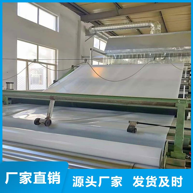 防水板_塑料土工格栅专业的生产厂家