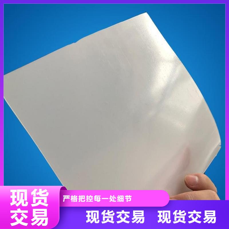 【防水板,玻纤格栅现货直供】