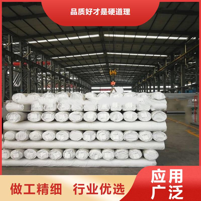 防水板玻纤格栅货源直供