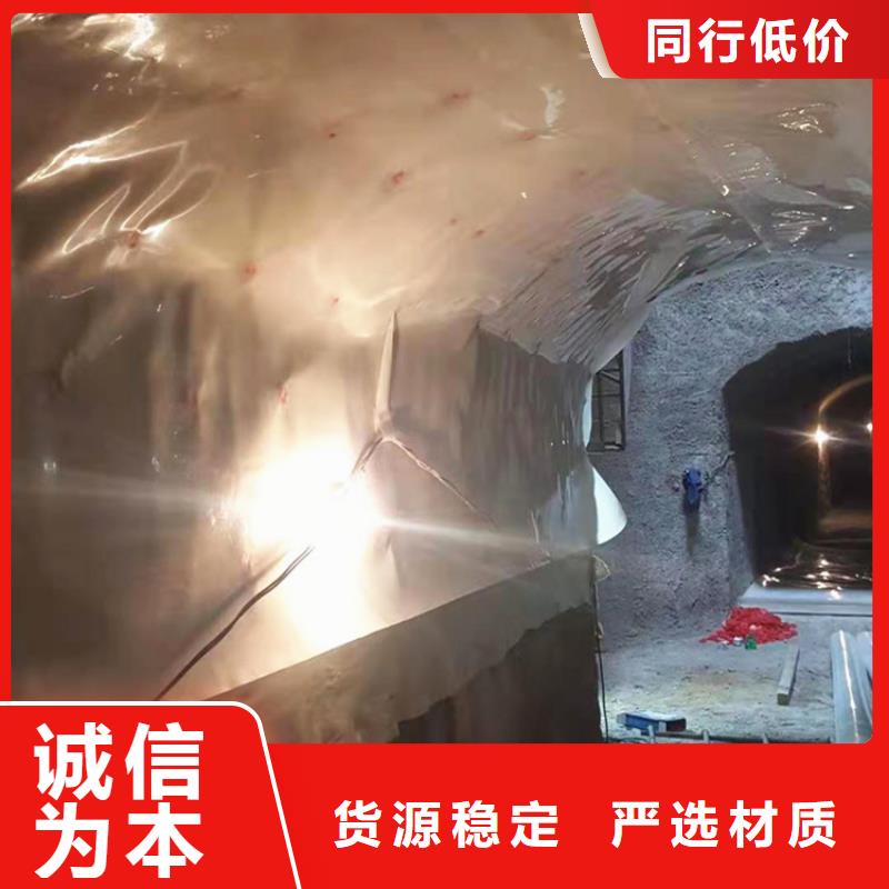 防水板_塑料土工格栅专业的生产厂家