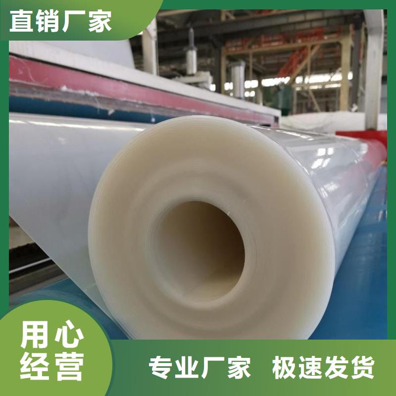 防水板_塑料土工格栅专业的生产厂家