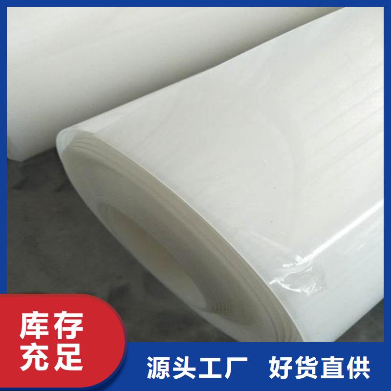防水板_塑料土工格栅专业的生产厂家