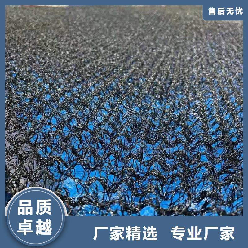 水土保护毯HDPE土工膜一站式采购商