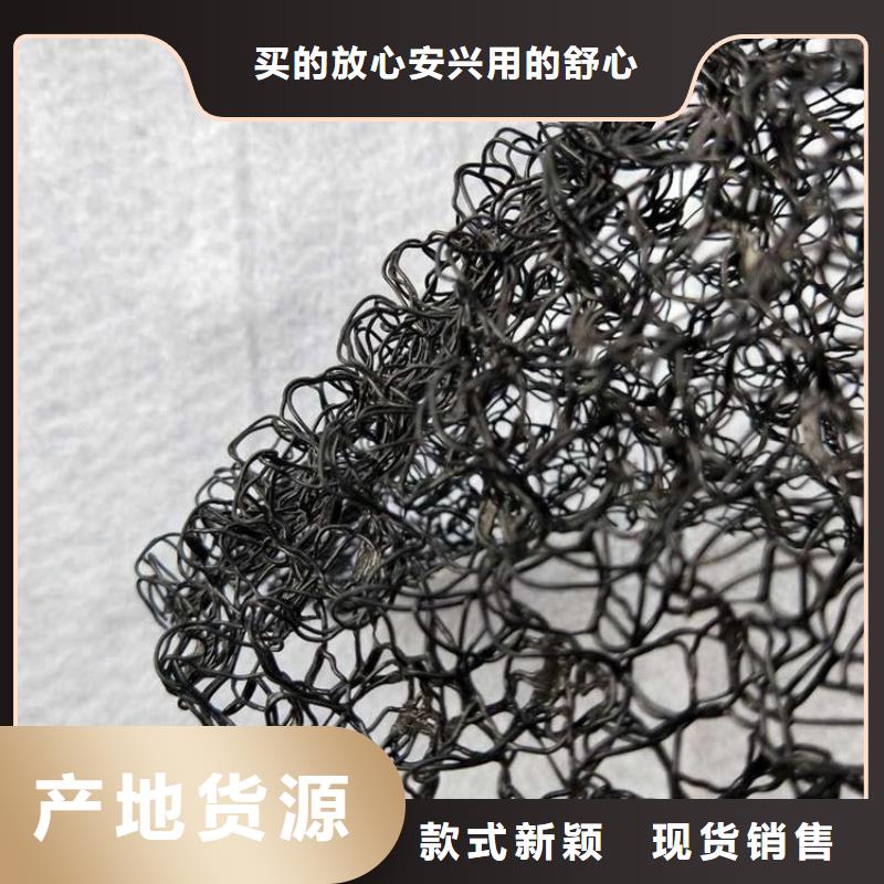 水土保护毯塑料格栅匠心制造