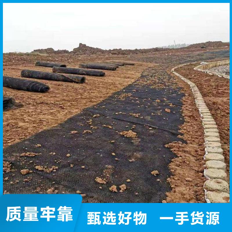【水土保护毯】土工膜用心做产品