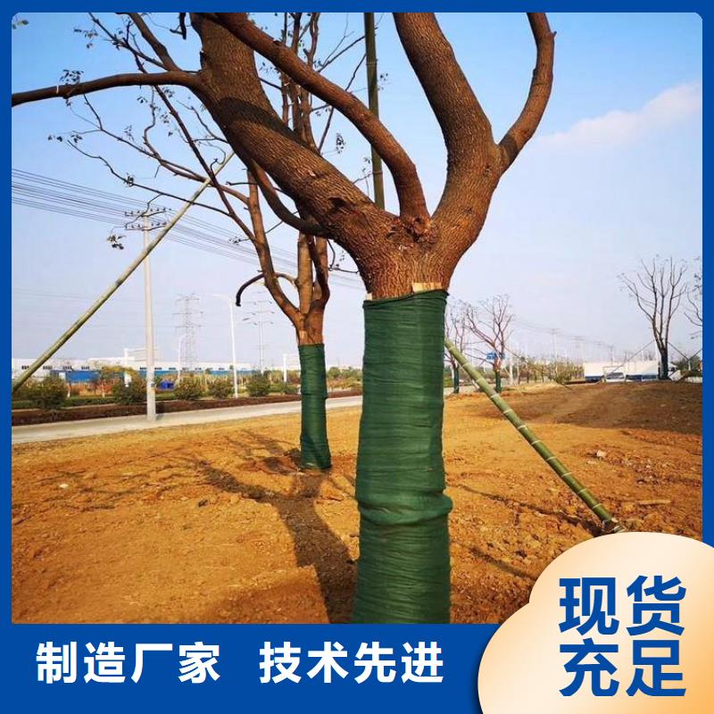 裹树布聚酯玻纤布满足多种行业需求