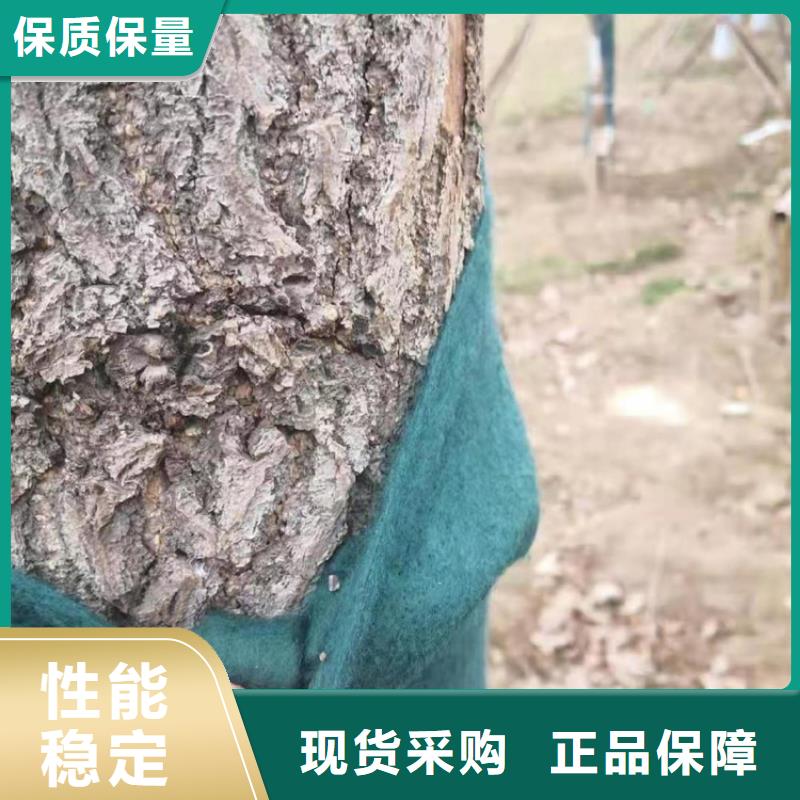裹树布HDPE土工膜匠心工艺