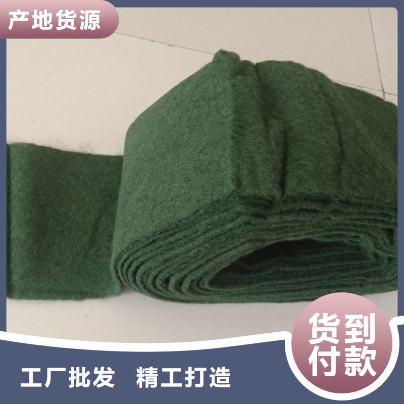 裹树布土工格栅有实力有经验