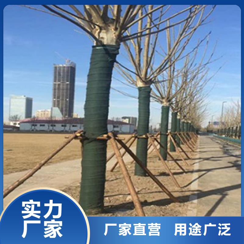裹树布玻纤格栅现货