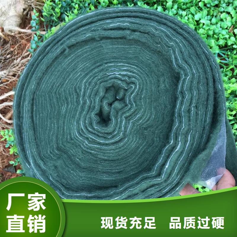 裹树布塑料土工格栅一站式采购商家