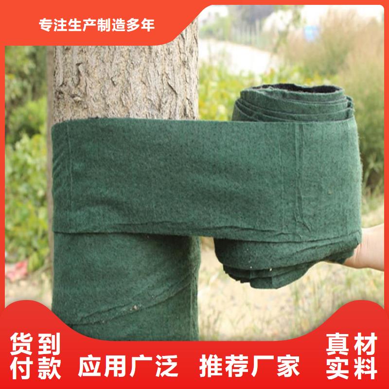 裹树布三维植被网自主研发