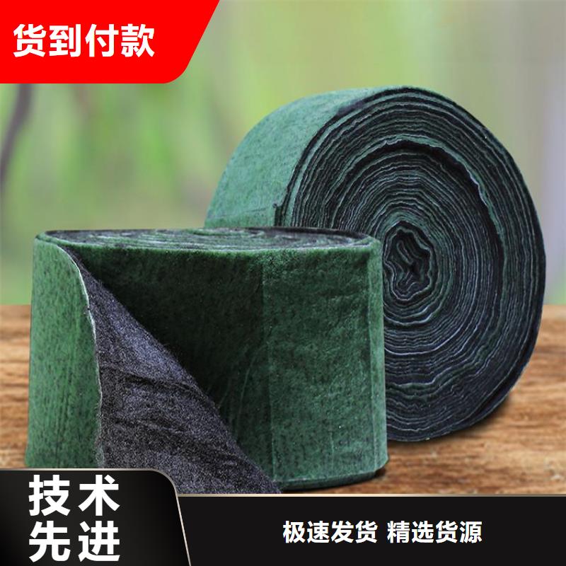 裹树布防渗膜专心专注专业